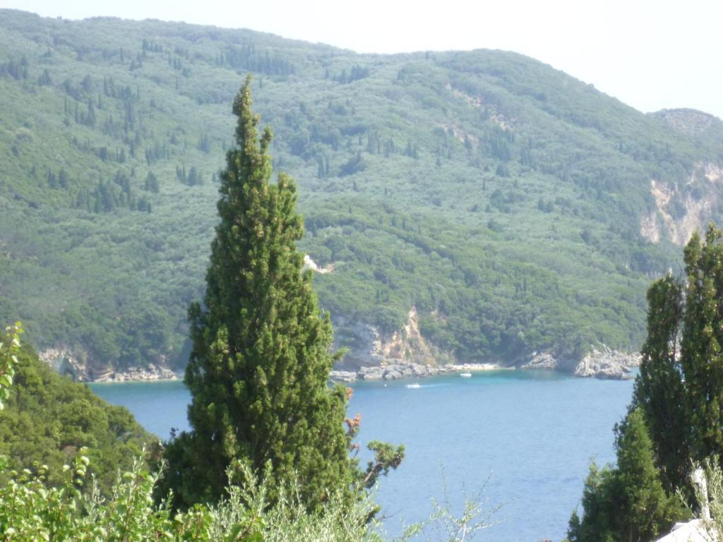 Noufaro Apartment Paleokastritsa Ruang foto